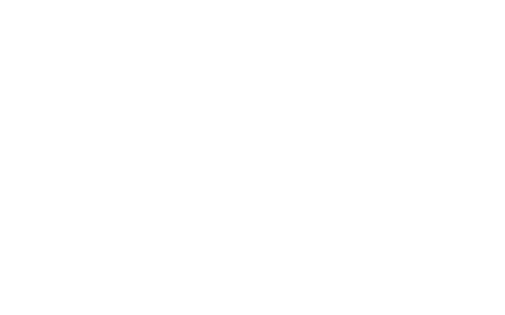 Star Safety